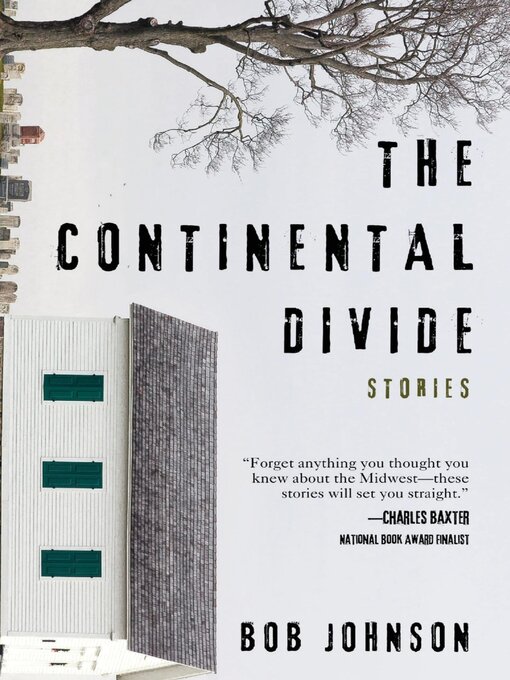 Title details for The Continental Divide by Bob Johnson - Available
